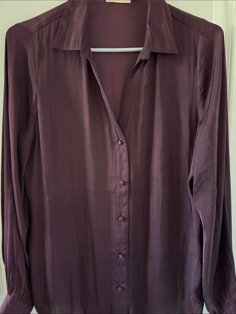 Women's Plum Long-Sleeve Button-Down Shirt